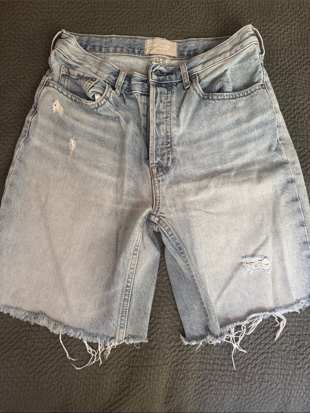 Everlane Cheeky Long Short